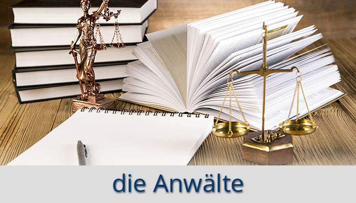 die Anwälte